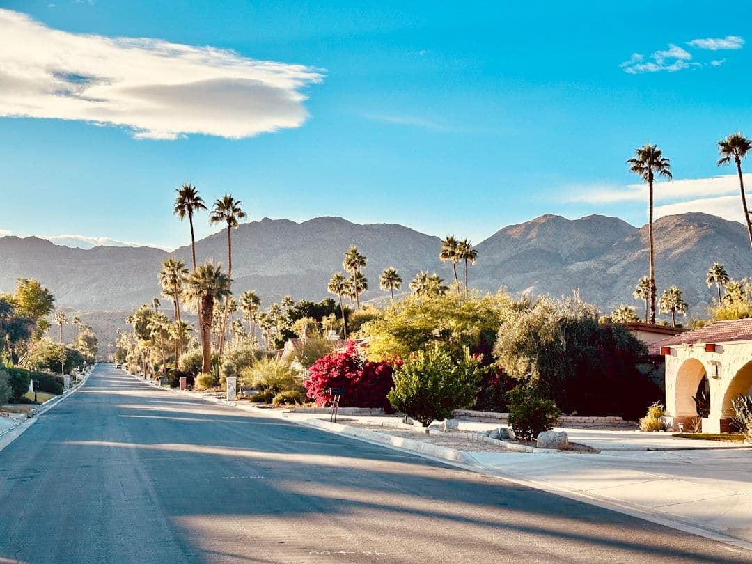 a street lined with palm trees and mountains