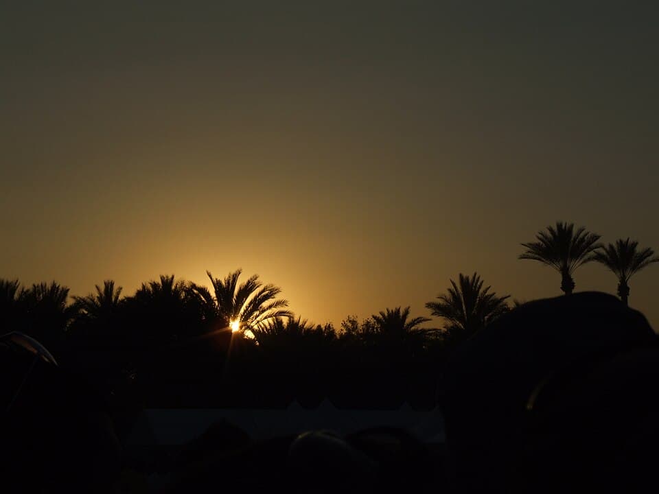 Palm trees and mountains in the Coachella Valley at sunset — classic snowbird destination view
